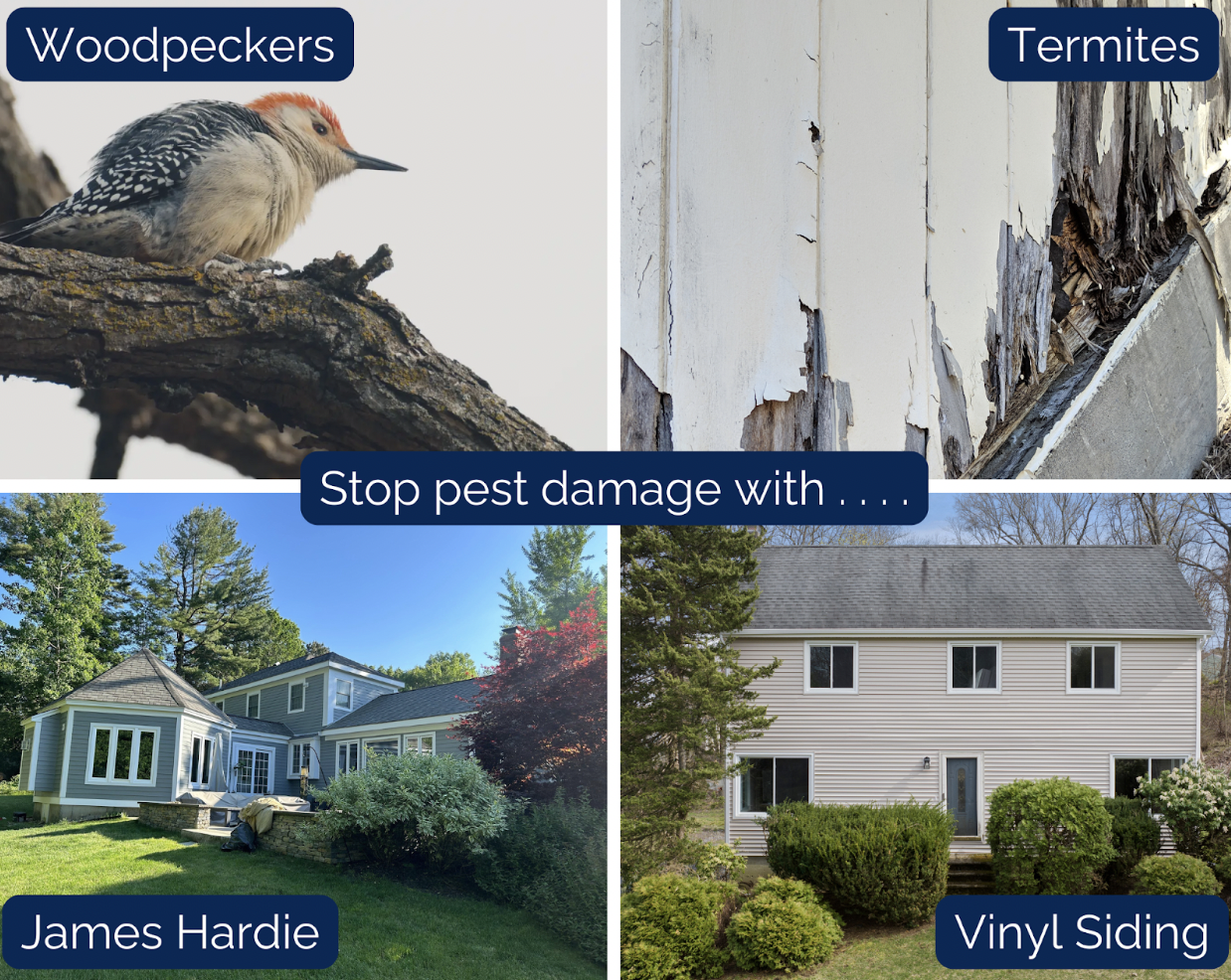 A split image highlights woodpecker and termite damage, alongside two homes with intact siding. The top left showcases a woodpecker, while the top right reveals termite damage. The bottom features houses with James Hardie and Vinyl Siding options, perfect for your spring home maintenance checklist.