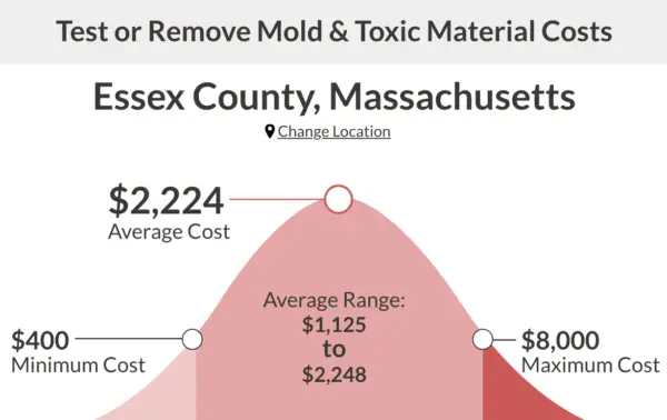 test mold and toxic materias costs