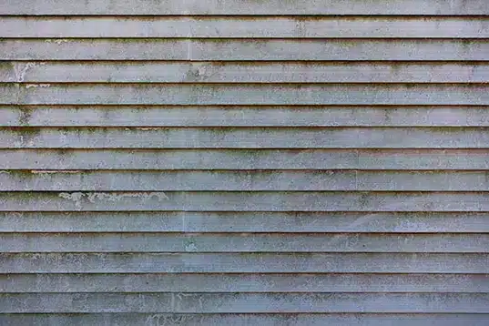 Moldy vinyl siding caused by trapped moisture behind siding without proper house wrap for vinyl siding