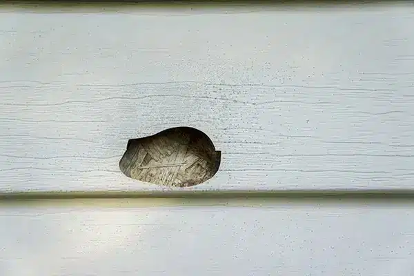 Damaged vinyl siding exterior showing impact damage and the need for protective house wrap