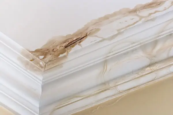 roof leak repair