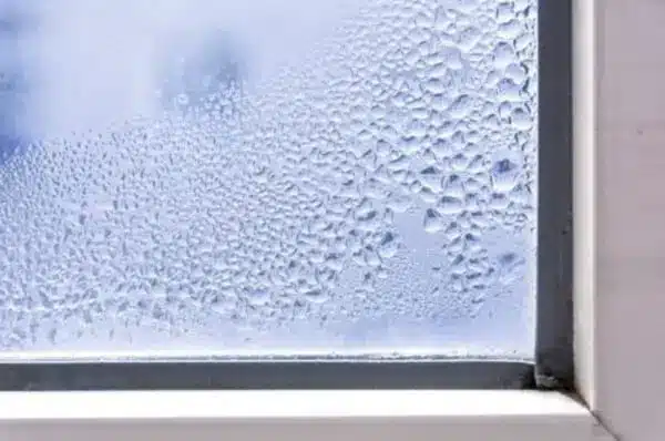 foggy windows