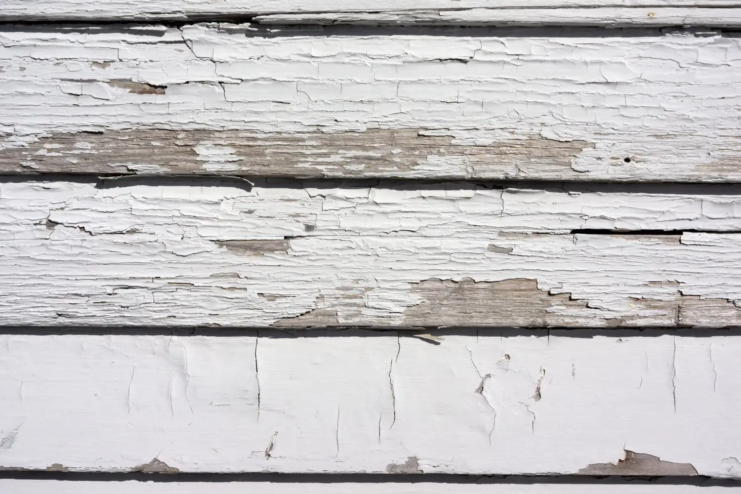 Wood Siding