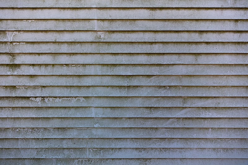 MOld and mildew growth on siding