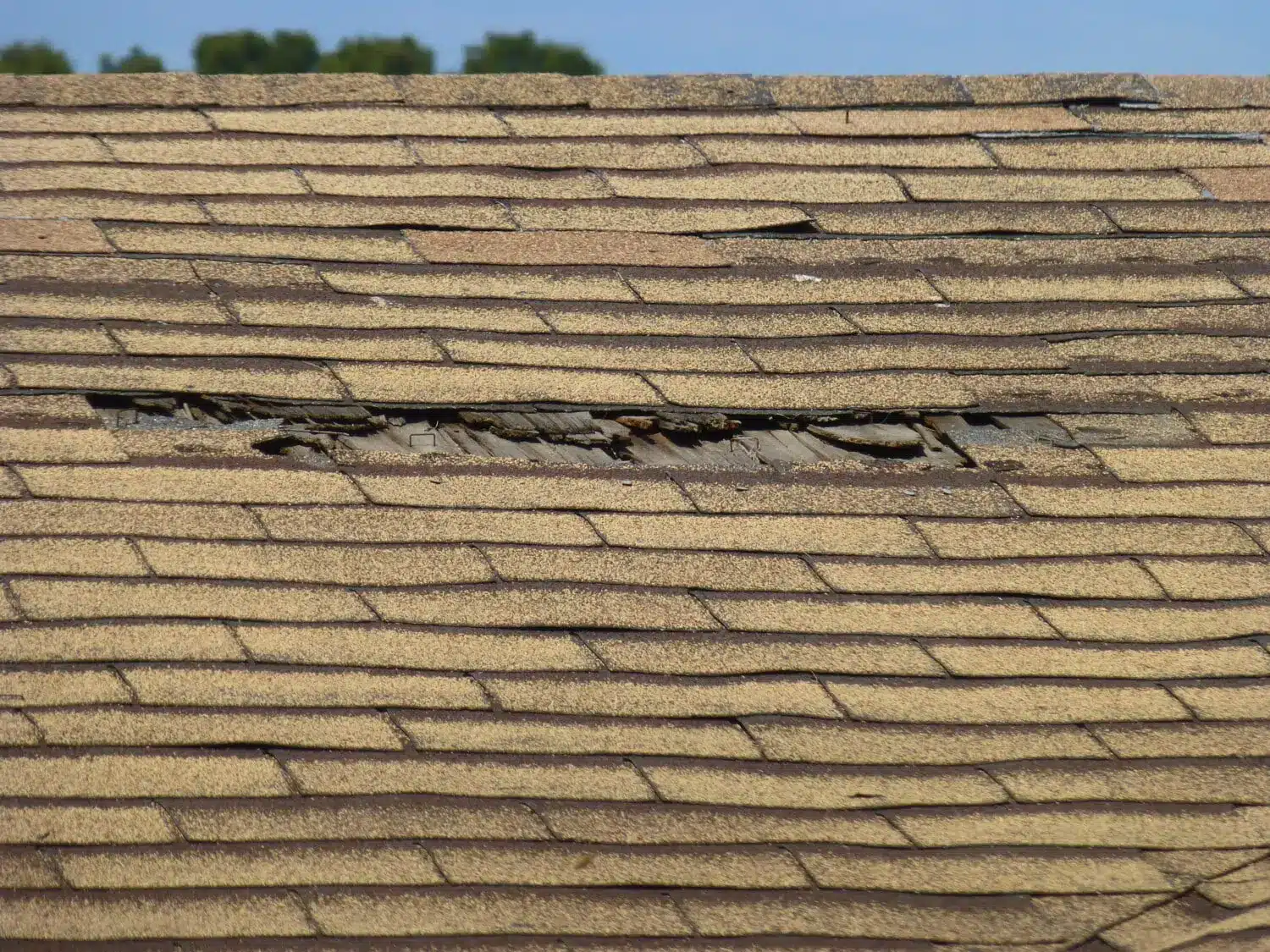 Beverly-01915-Essex-County-North-Shore-Roof-Replacement-Storm-Resistant-CoastalWindows.jpg
