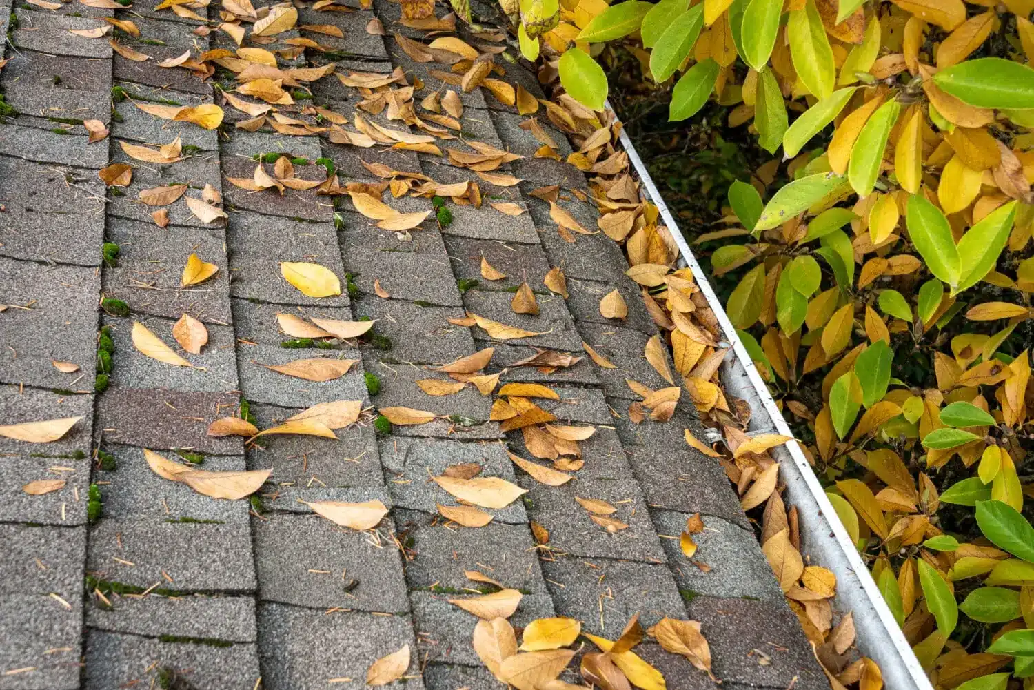 Fall roofing guide roof upgrade energy efficient before after Beverly MA North Shore Essex County