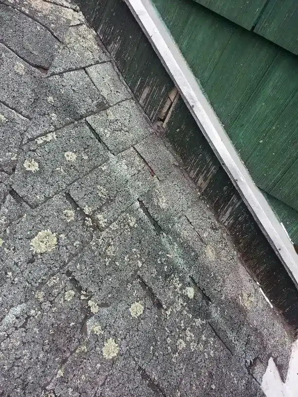 Close-up of an old roof with worn, discolored shingles and patches of lichen—signs that could indicate roof leaking—beside a weathered green wooden exterior wall and white trim.