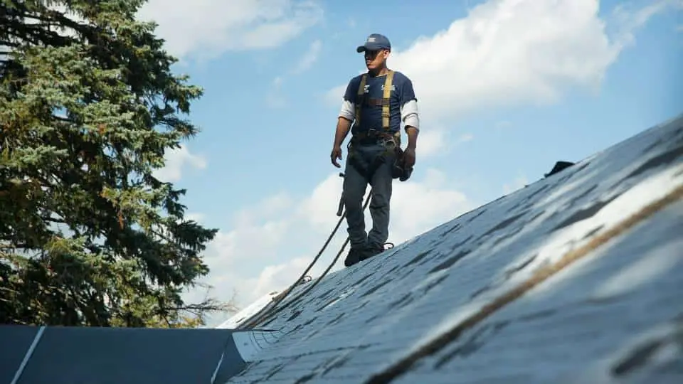A construction worker wearing safety gear stands on a sloped roof under a blue sky, attached to a safety harness, inspecting roofing materials for a new roof, with a large tree in the background.