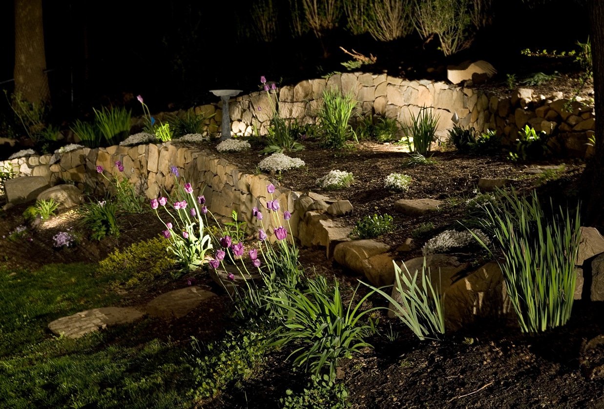 Lucia Landscape Blog 5