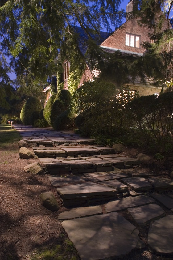Lucia Landscape Blog 7