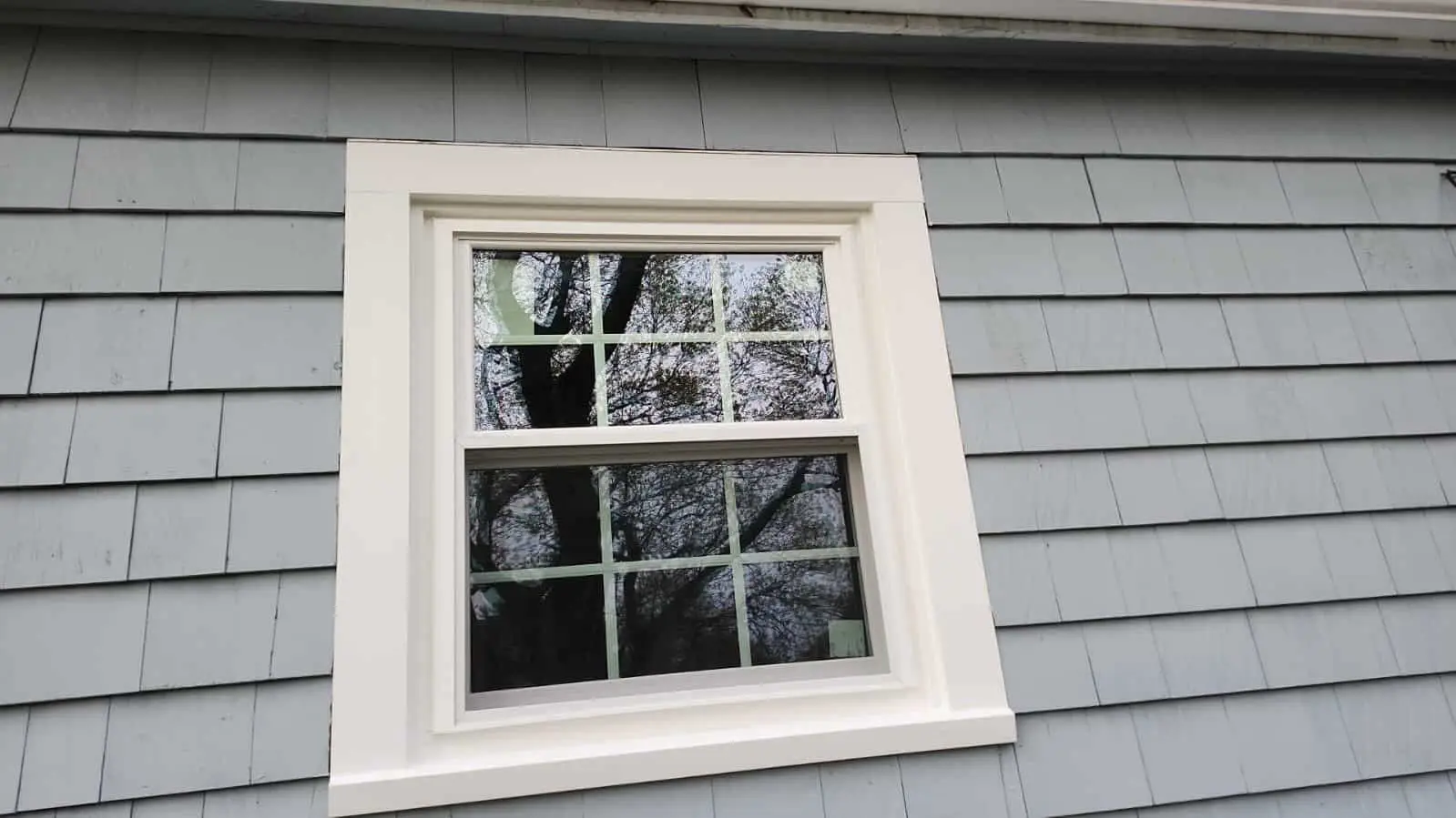 A white-trimmed vinyl double hung window with grid panes on a light blue house with horizontal siding, reflecting trees and sky in the glass.