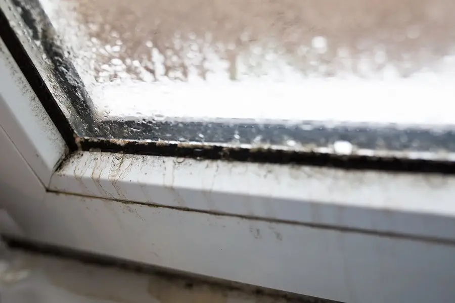 Close-up of a window frame with condensation on the glass and foggy windows, showing visible black mold growing along the seal and edges of the frame.