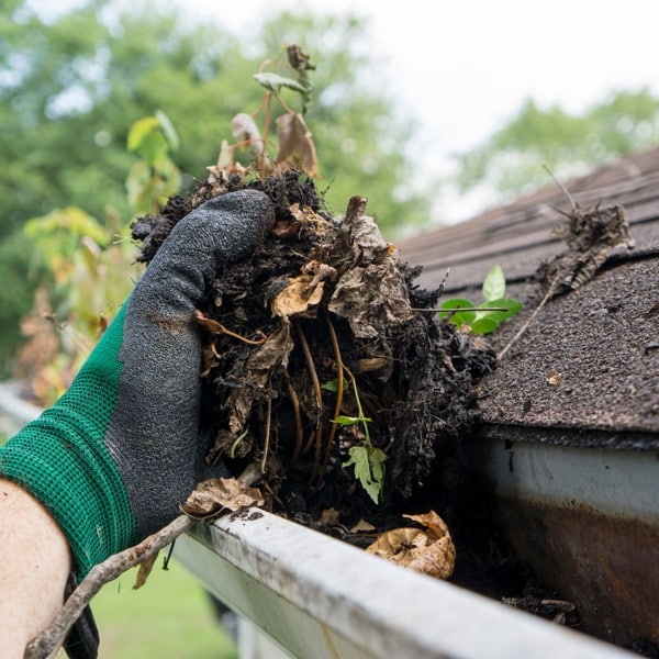 clean gutters