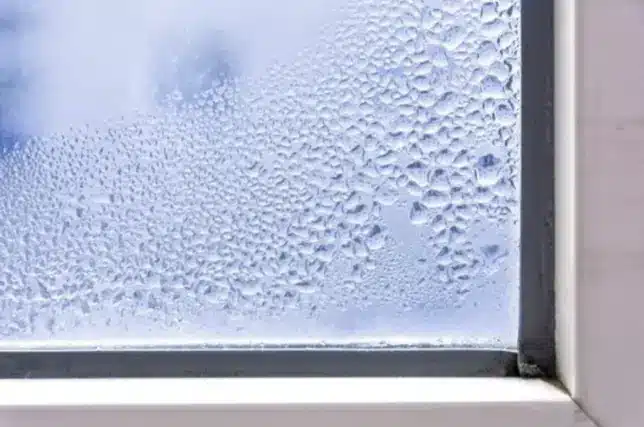 foggy windows