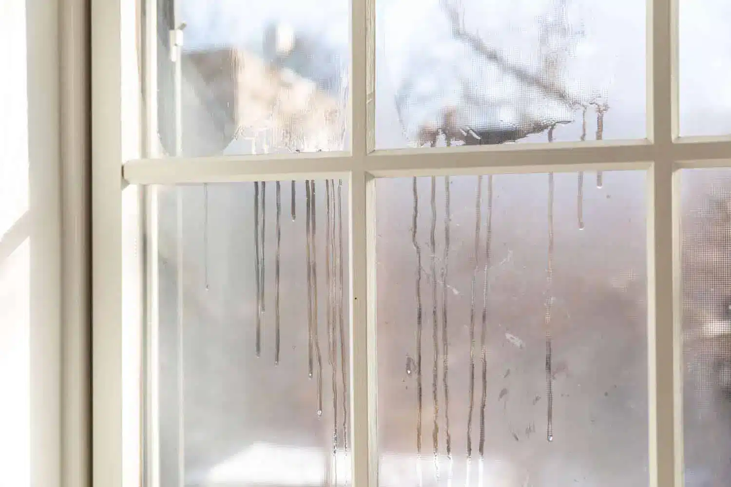 moisture that forms on glass window panes