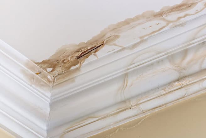 leaky roof