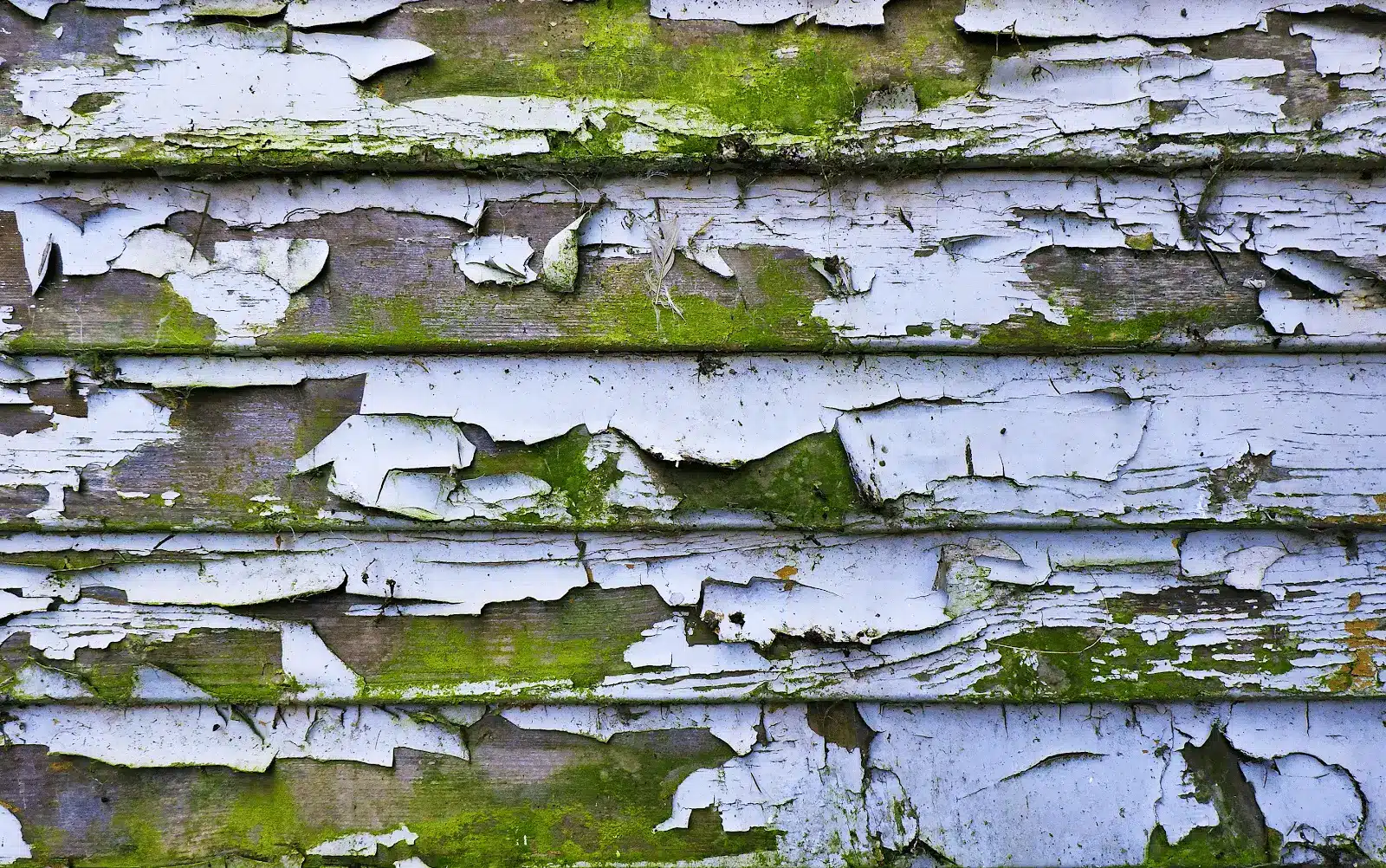 moss, mold, and mildew resistant siding