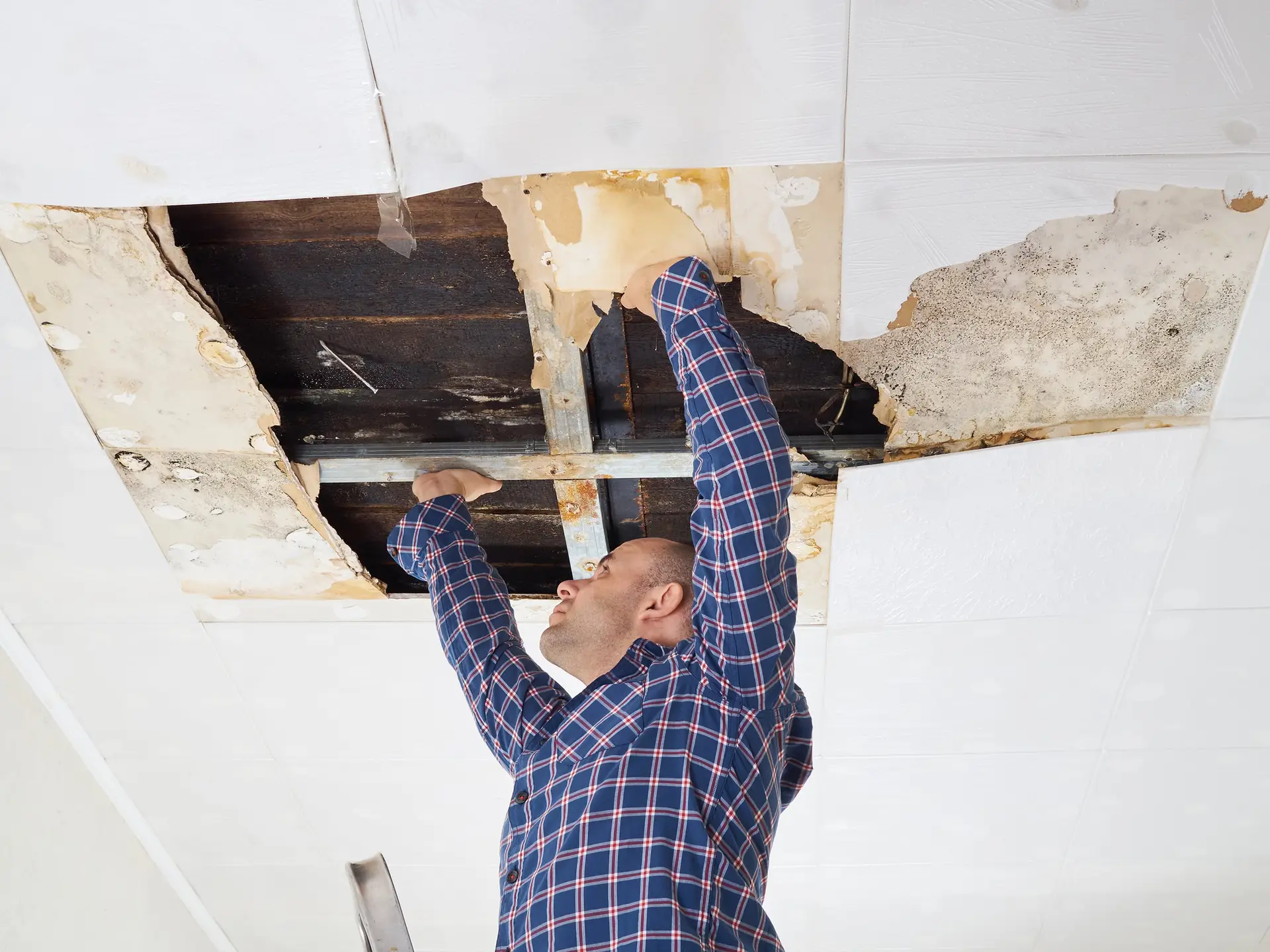 roofing contractor