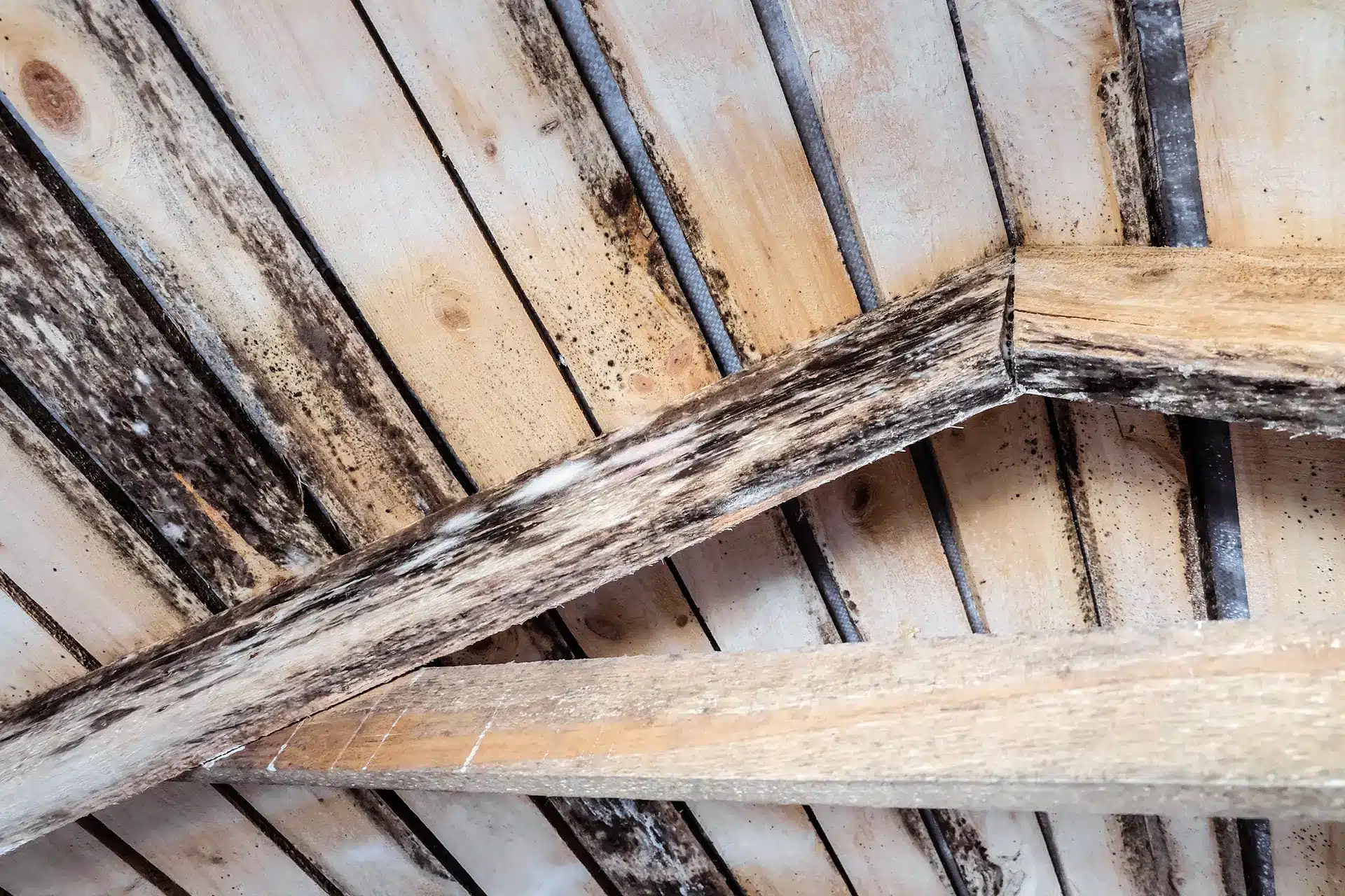 roof leak repair needed! summer exterior home remodeling