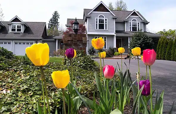 window in the spring