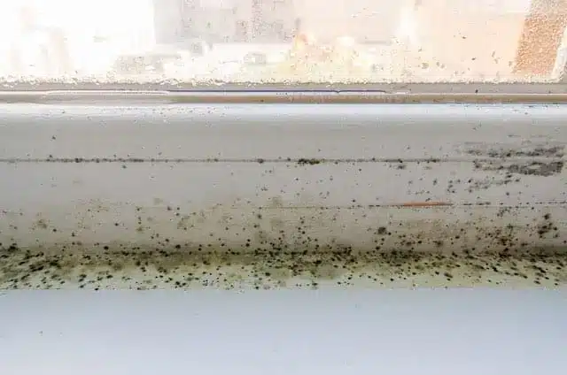 A close-up of a windowsill with visible black mold spots and dirt buildup, indicating possible moisture or ventilation issues. The window glass is foggy with grime and clear signs of condensation on windows.