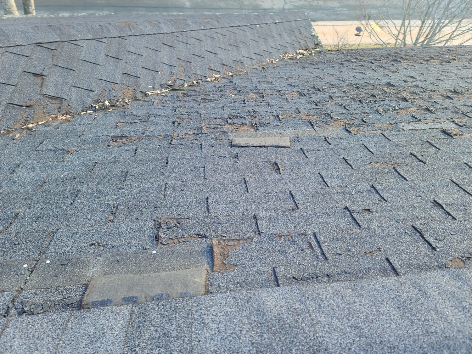 roofing contractors replace missing shingles. summer roof guide
